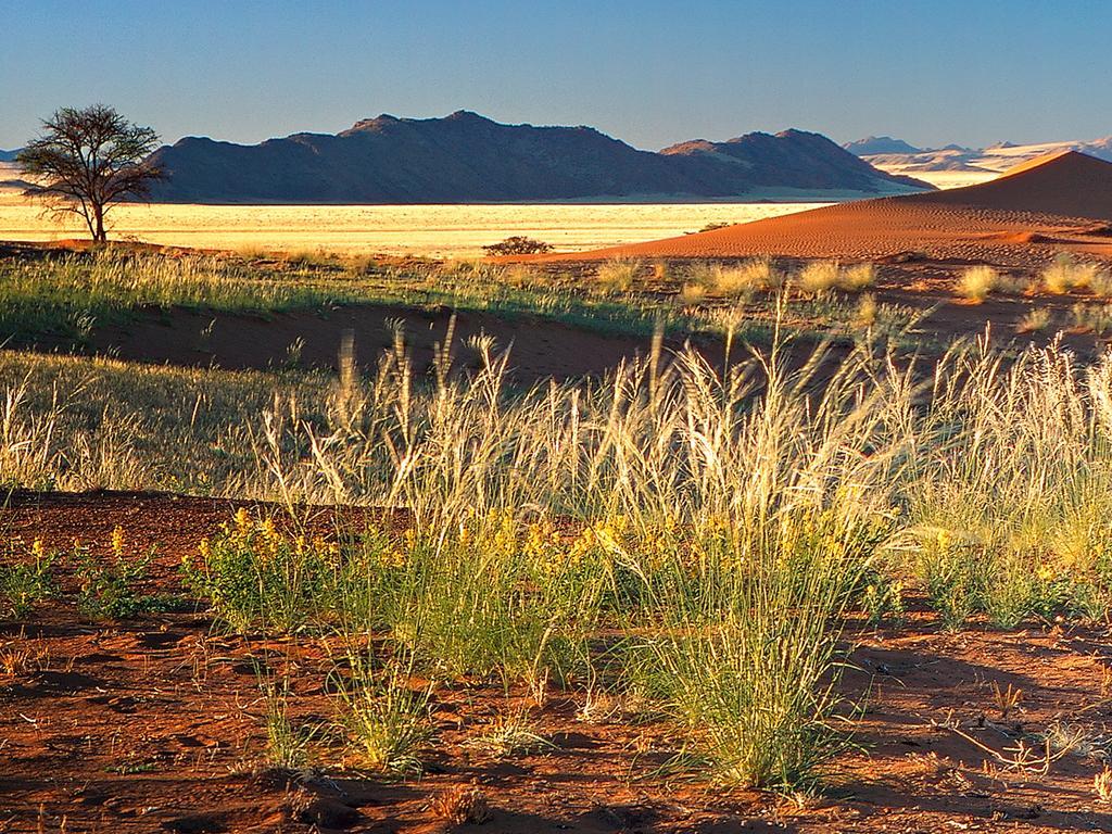 Gondwana Namib Desert Lodge Solitaire Exterior photo